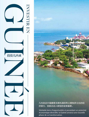 Investment Climate Report: Guinea