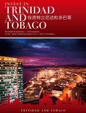 特多投资环境报告